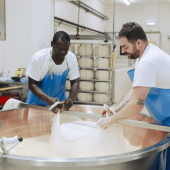 Tour e degustazione di Parmigiano vicino a Parma