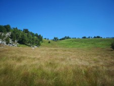 Passeggiata a Cavallo Piemonte & Aperitivo vicino Torino