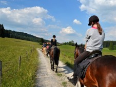 Passeggiata a cavallo a Bergamo