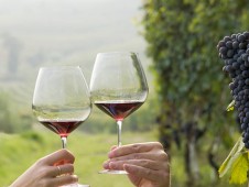 Agriturismo e Benessere Gourmet - Percorso Vino | Esperienze in Umbria