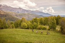 Regala una Passeggiata a cavallo Firenze