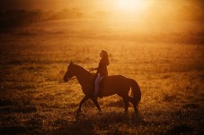 Passeggiata a Cavallo per Bambini - Pony Club a Milano