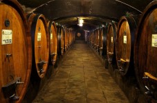 Tour privato con degustazione di Vino Nobile di Montepulciano e Chianti da Firenze