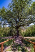 Soggiorno di 3 notti immersi nella natura