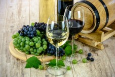 Degustazione di vini in Sardegna