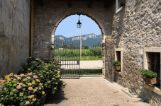 Visita Cantine con Degustazioni e Soggiorno in Veneto