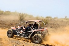 Safari premium nel deserto con cena e intrattenimento