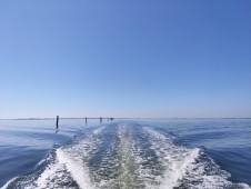 Chioggia: Tour Privato in Barca per scoprire la Laguna Veneta