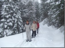 Escursione ad Innsbruck con le ciaspole (racchette da neve)