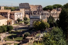 Tour salta fila del Colosseo con Foro Romano e Palatino in lingua italiana