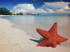 Sette Giorni di Paradiso: Fuga alle Bahamas