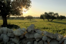 Notte Con Colazione E Lezione Di Equitazione In Puglia