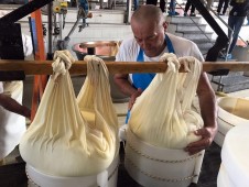 Visita Caseificio e Degustazione Parmigiano Reggiano