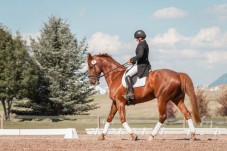 Lezione di Equitazione nel cuore della Toscana