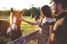 Passeggiata a Cavallo Piemonte & Aperitivo vicino Torino