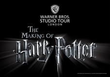 Harry Potter Studios Pacchetto Silver - 1 Notte Hotel***