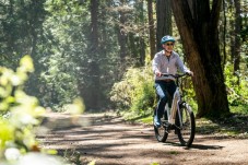 Colline del Prosecco in E-Bike