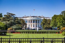 Tour di Washington D.C da New York