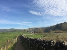 Tour guidato del Parco nazionale degli Yorkshire Dales