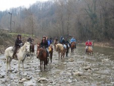 Passeggiata a Cavallo Bologna