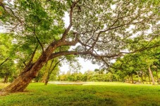 Visita al parco archeologico di Vulci