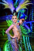 Moulin Rouge Paris - con cena vegana