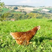 Visita in Pastificio nelle Marche per Famiglia