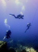 Prima Immersione - Discover Scuba Diving | Sardegna