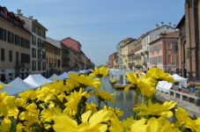 Tour Con Quiz Per Famiglia sui Navigli con Aperitivo