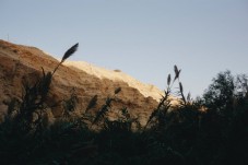 Tour all'Alba di Masada da Tel Aviv