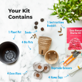 Coltiva il tuo Bonsai Starter Kit 