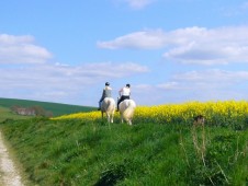 Lezione di equitazione