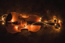 Lezione singola individuale di Violino