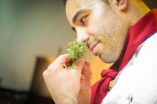 Cuoco a domicilio sushi vegano a Monza per 6 persone