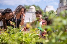 Soggiorno Gourmet in Agriturismo - I Doni dell'Orto