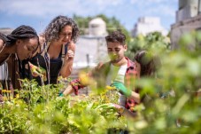 Soggiorno Gourmet in Agriturismo - I Doni dell'Orto