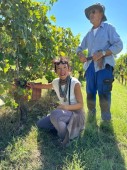 Visita al Vigneto e alla Cantina con Degustazione a Peccioli