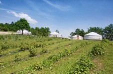 Soggiorno due notti in Yurta Lavanda con cena per 2