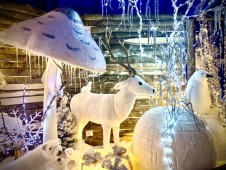 Soggiorno 1 notte + cena e Ingresso al Regno di Babbo Natale