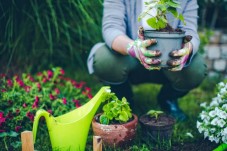Corso Online Giardinaggio