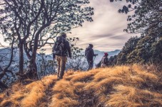 Trekking sulla Via Francigena e meditazione nel bosco 