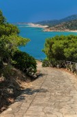 Passeggiata a cavallo nel Golfo di Cagliari, Sud Sardegna