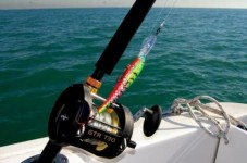 Pesca con pranzo nel Golfo del Messico