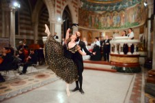 Le quattro stagioni. Concerto Opera e Lirica