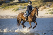 Lezione di equitazione