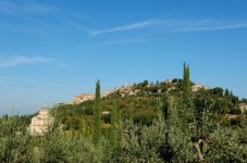 Tour dell'agriturismo di Cinta Senese con pranzo leggero a Montepulciano