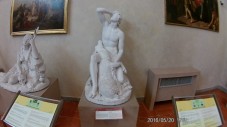 Galleria dell'Accademia-Tour Privato