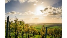 Orient Express La Dolce Vita: Venice & Tuscany