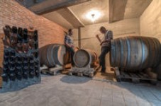 Visita guidata con Degustazione di Vini Azienda Agricola Calatroni