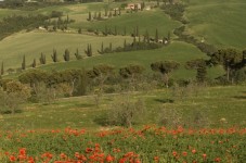 Cena per Due ad Arezzo